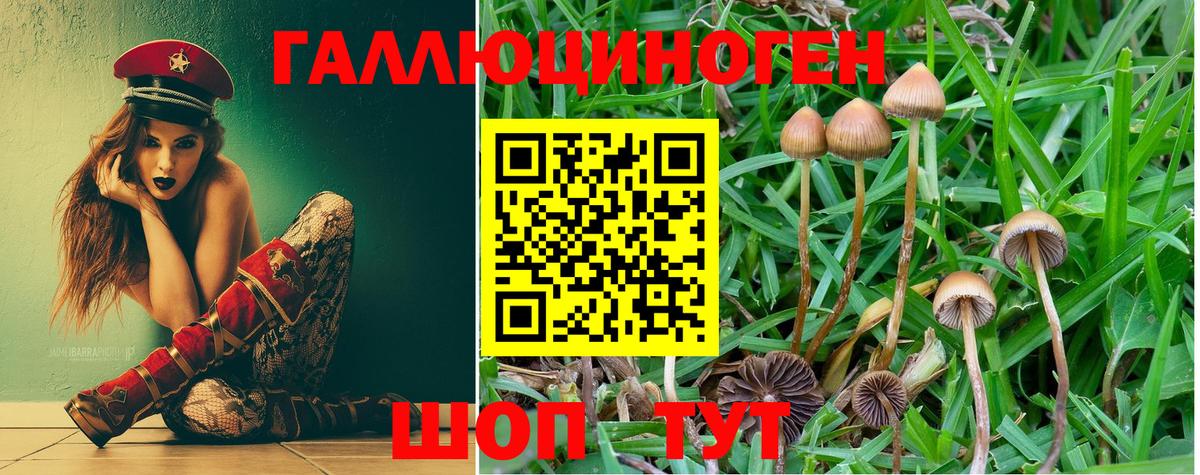 Галлюциногенные грибы прущие грибы Луховицы